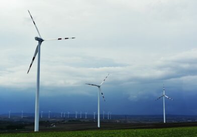LE LINEE GUIDA PER IL PROSSIMO FUTURO IN MATERIA DI RINNOVABILI