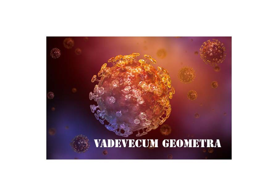 Vademecum Corona Virus (solo SOCI iscritti)