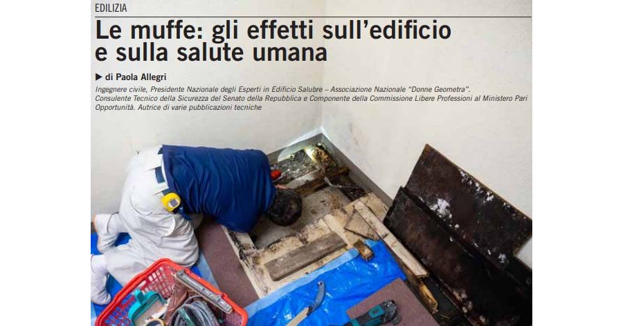 Le Muffe: gli effetti sull'edificio e la salute umana